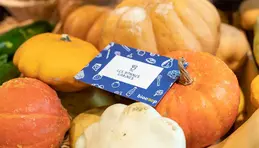 312-biocoop-marseille-les-bonnes-graines-magasin-bio-potimaron-courge-fruit-legume-saison-1.webp